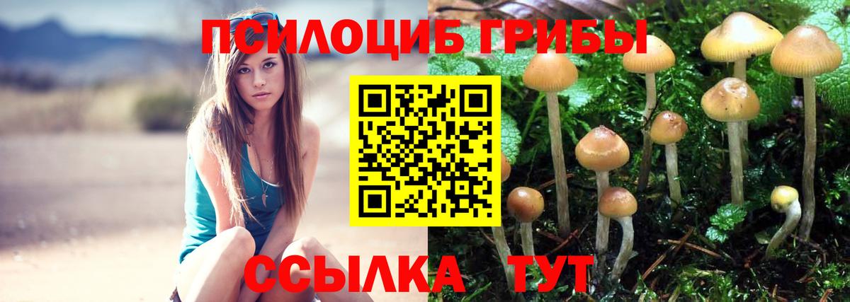 Псилоцибиновые грибы Magic Shrooms Махачкала
